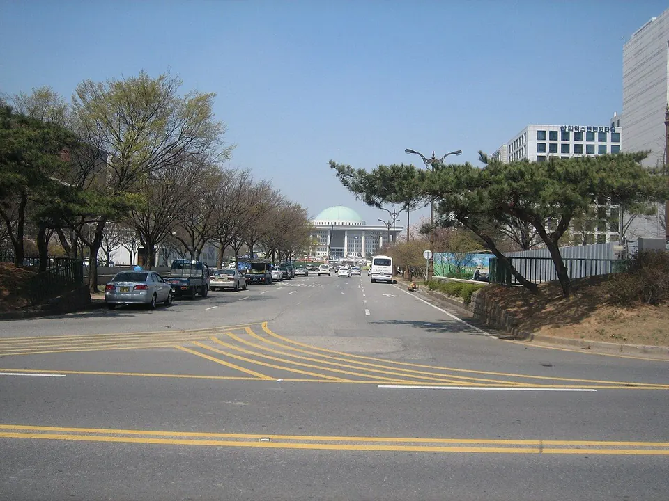 정치