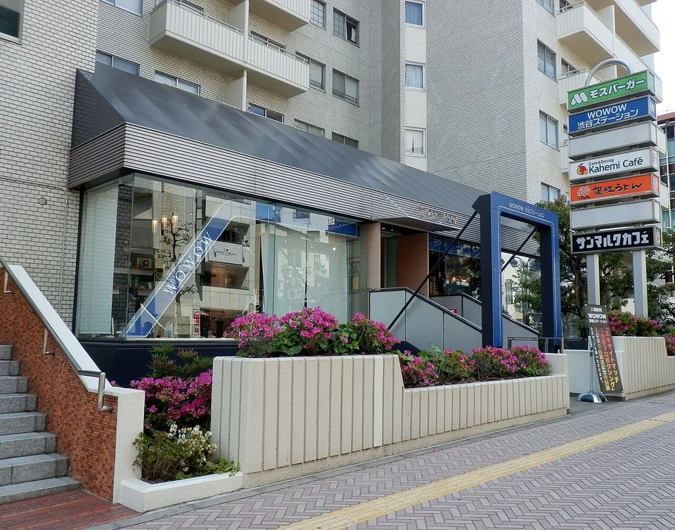 애니 1쿨 뜻